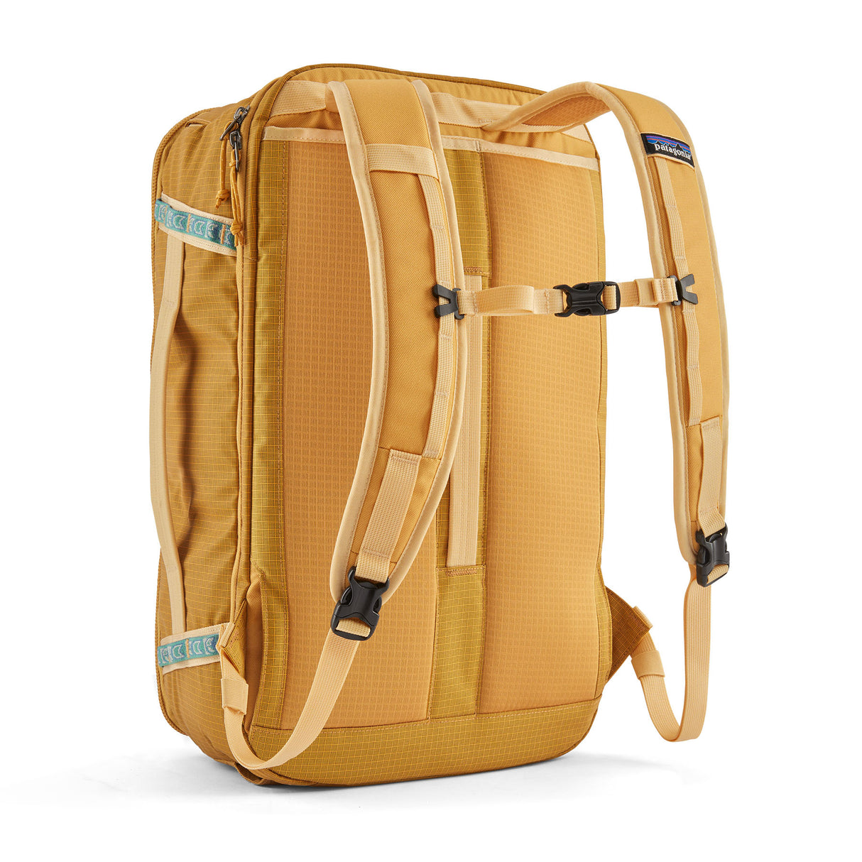 Black Hole Mini MLC Pufferfish Gold