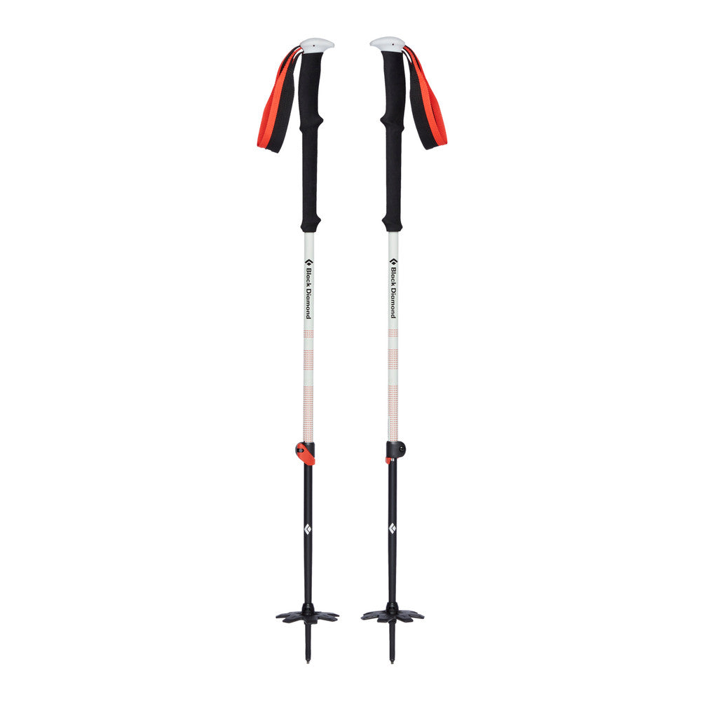 Black Diamond Expedition 2 Poles