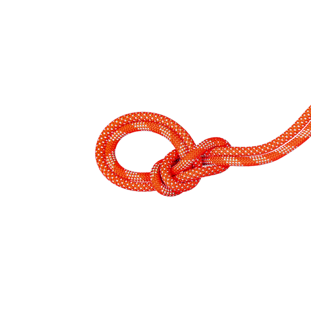 Mammut 9.8mm Crag Classic