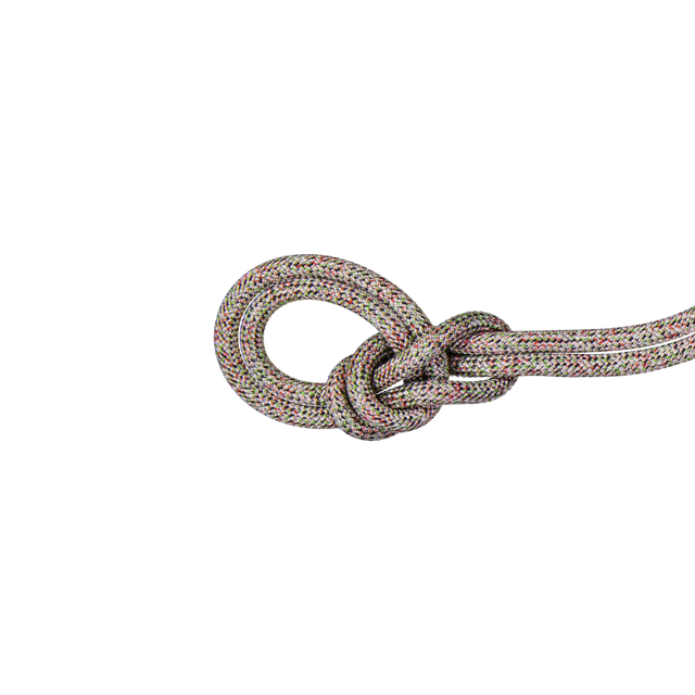 Mammut 9.5mm We Care Classic