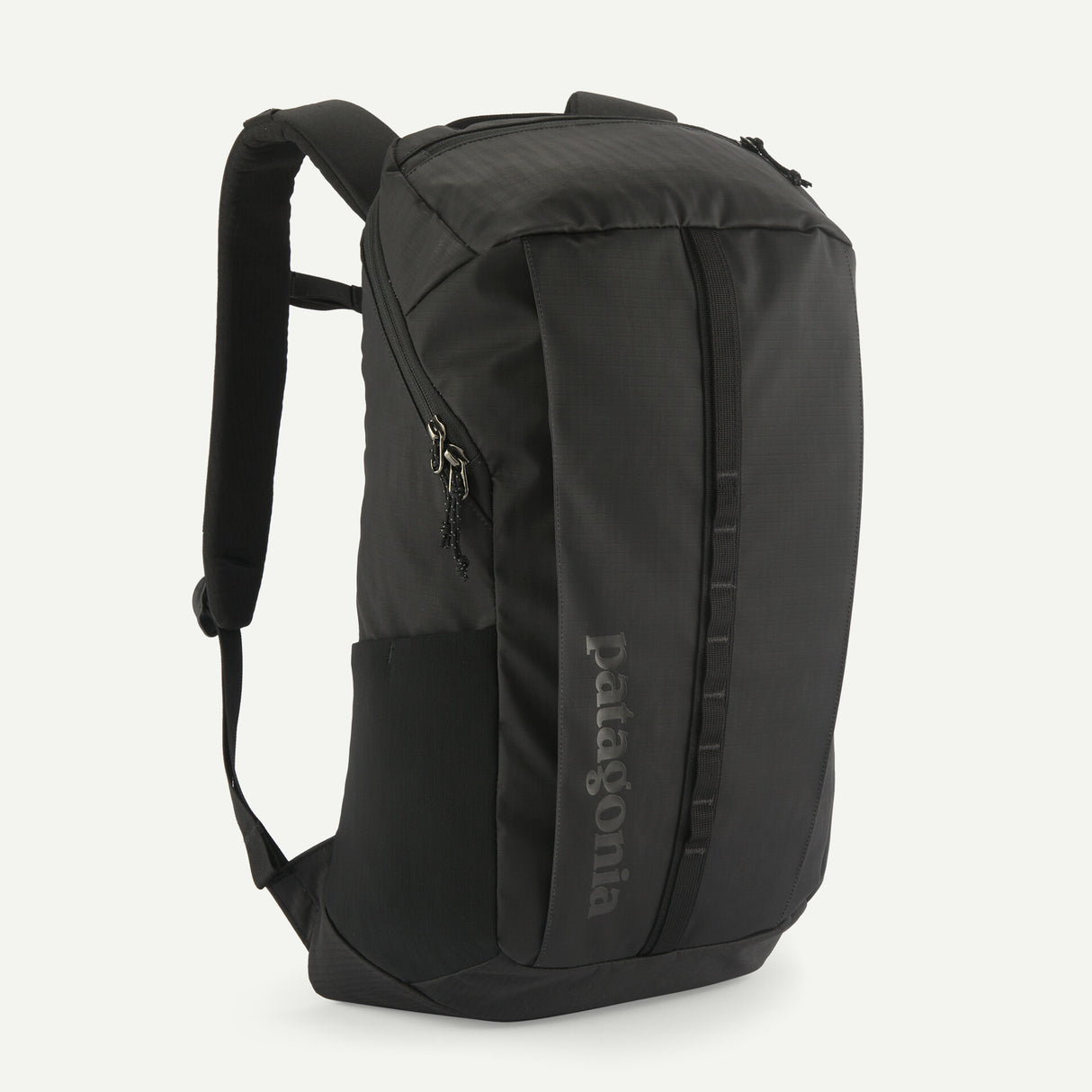 Patagonia Black Hole Pack 25L Black
