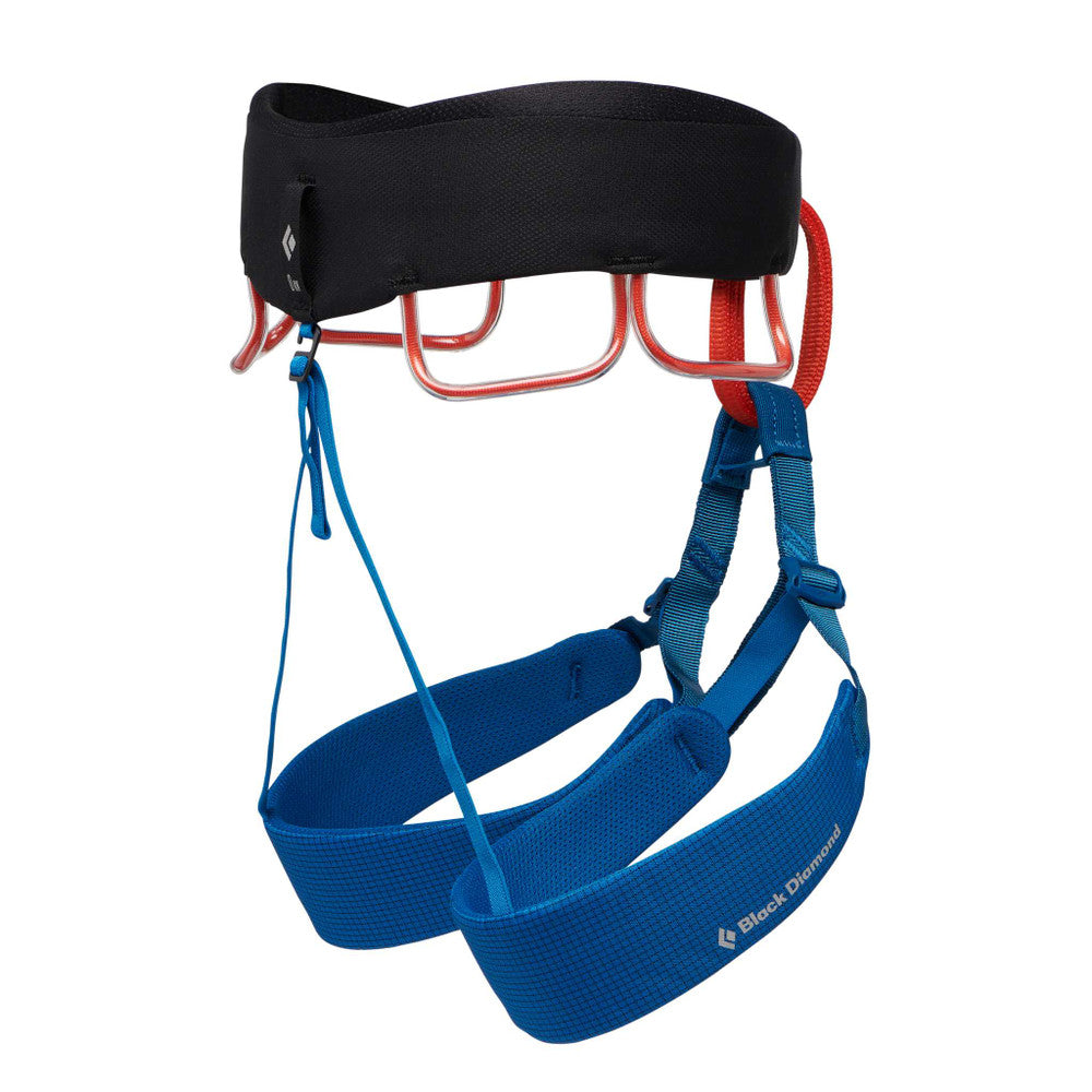 Black Diamond Momentum Harness - Mens KFISHER / S