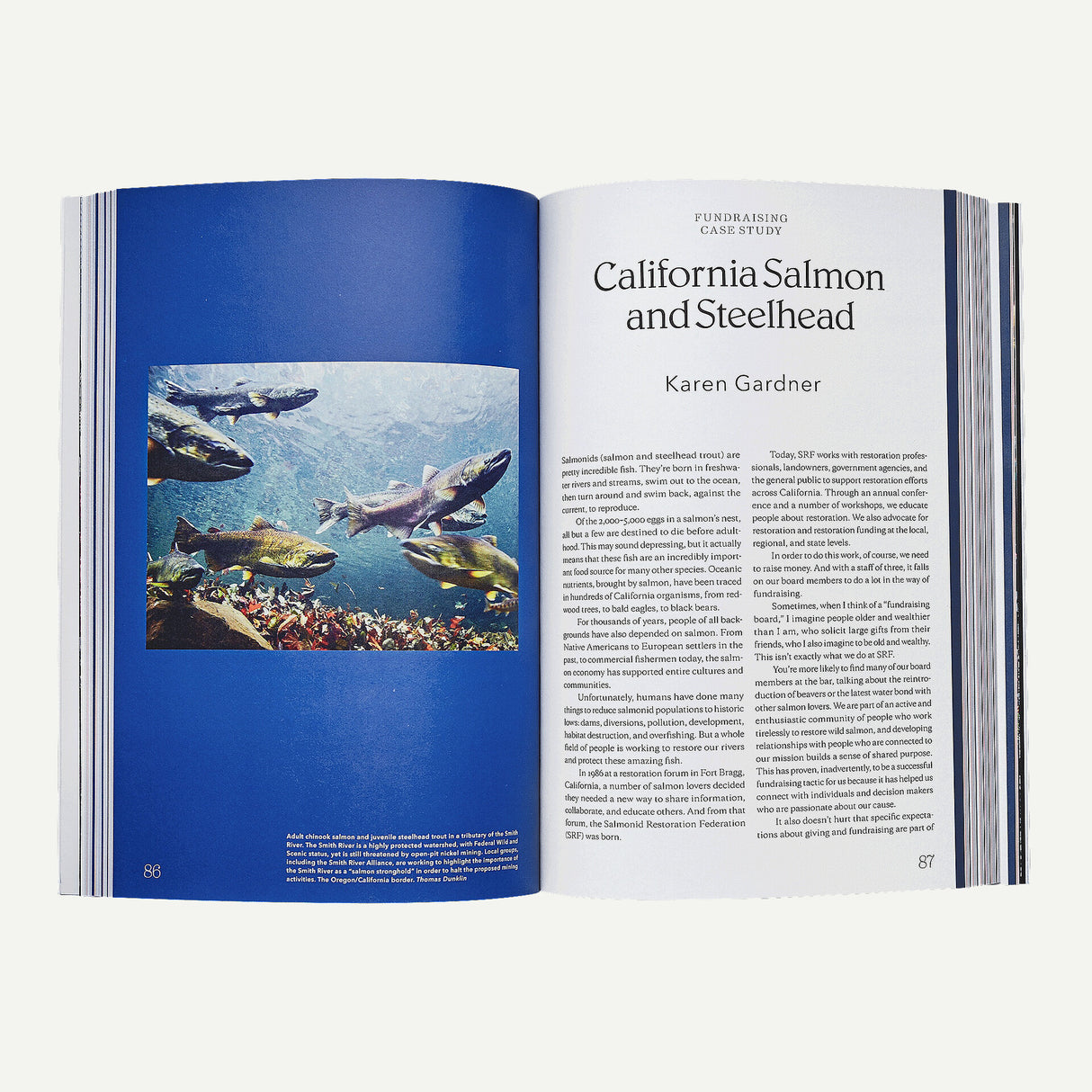 Patagonia Tools For Grassroots Activists