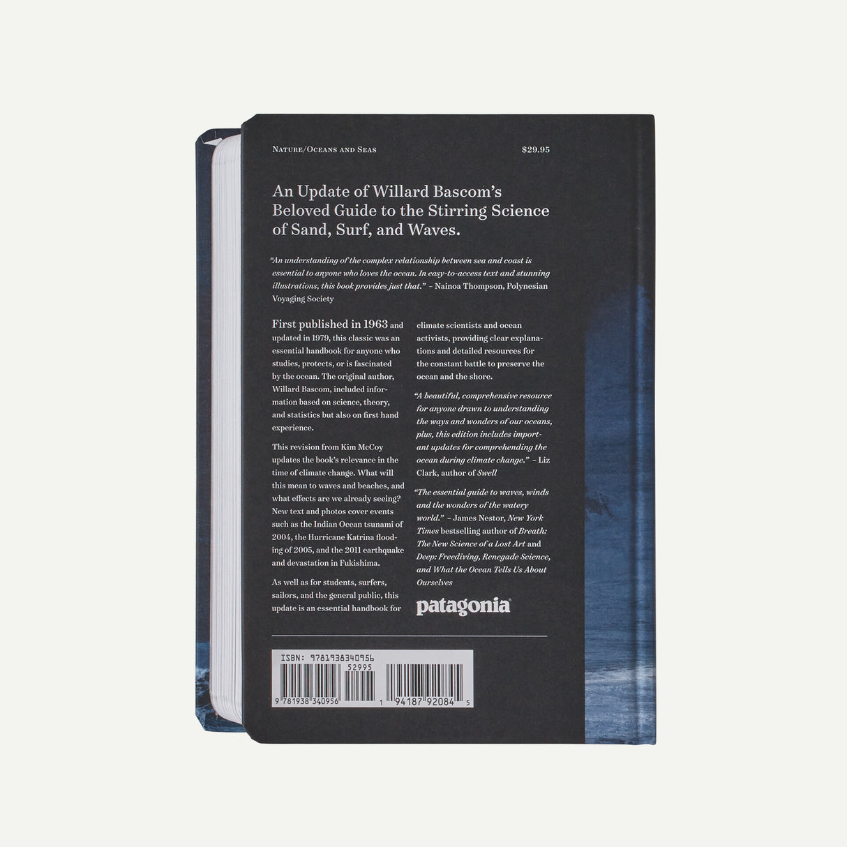 Patagonia Waves And Beaches