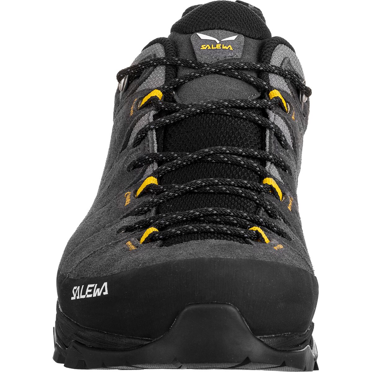 Salewa Alp Trainer 2 GTX - Mens