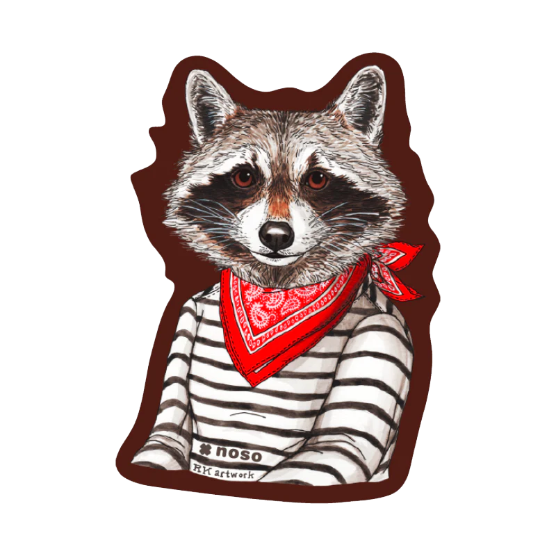NOSO Patches Raccoon Bandit