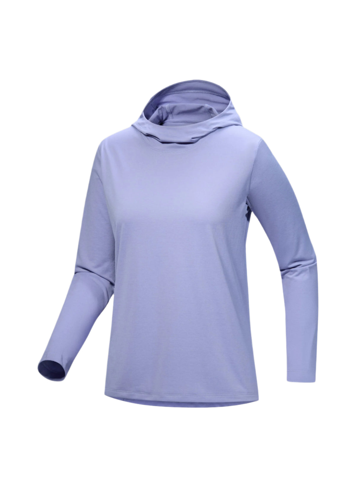 Arcteryx Taema Hoody - Womens oonstone Heather / M