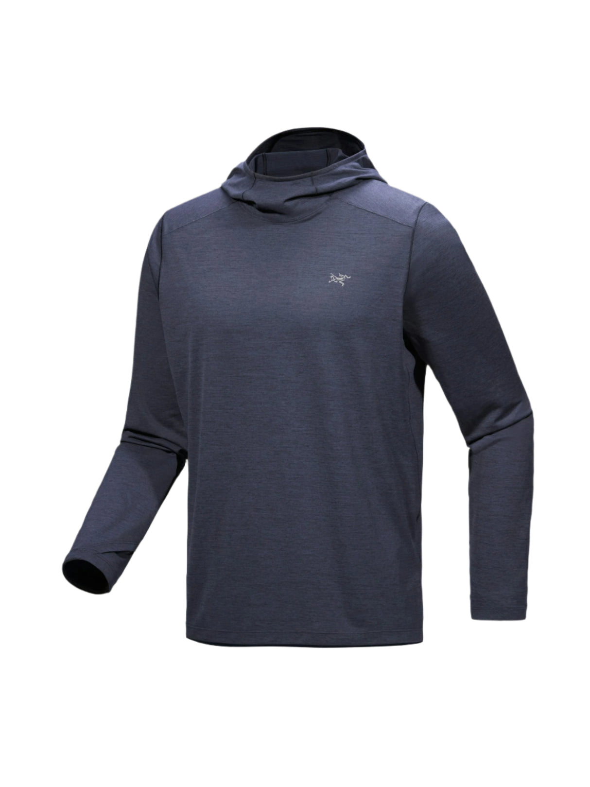 Arcteryx Cormac Hoody - Mens Back Sapphire Heather / S