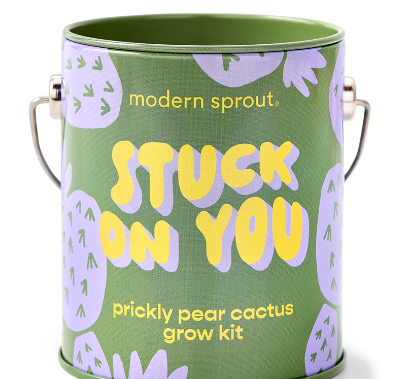 Modern Sprout Complimentary Color Grow Kit Stuck On You