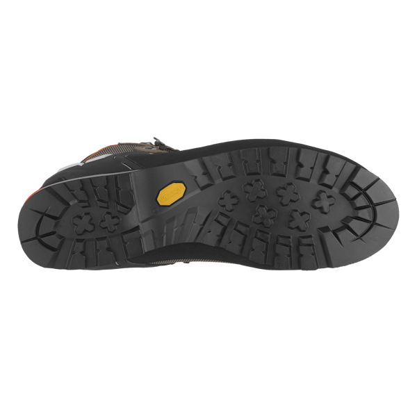 Salewa Crow GTX - Mens