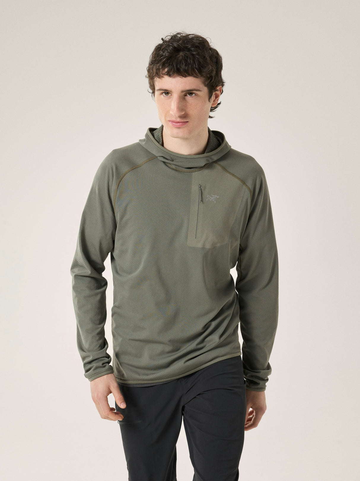 Arcteryx Delta Pullover Hoody - Mens