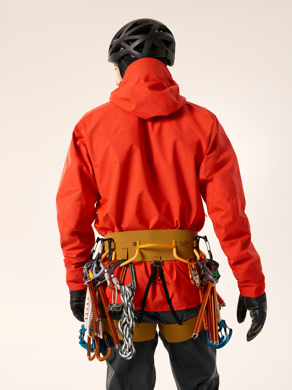 Arcteryx AR-395a Harness - Mens