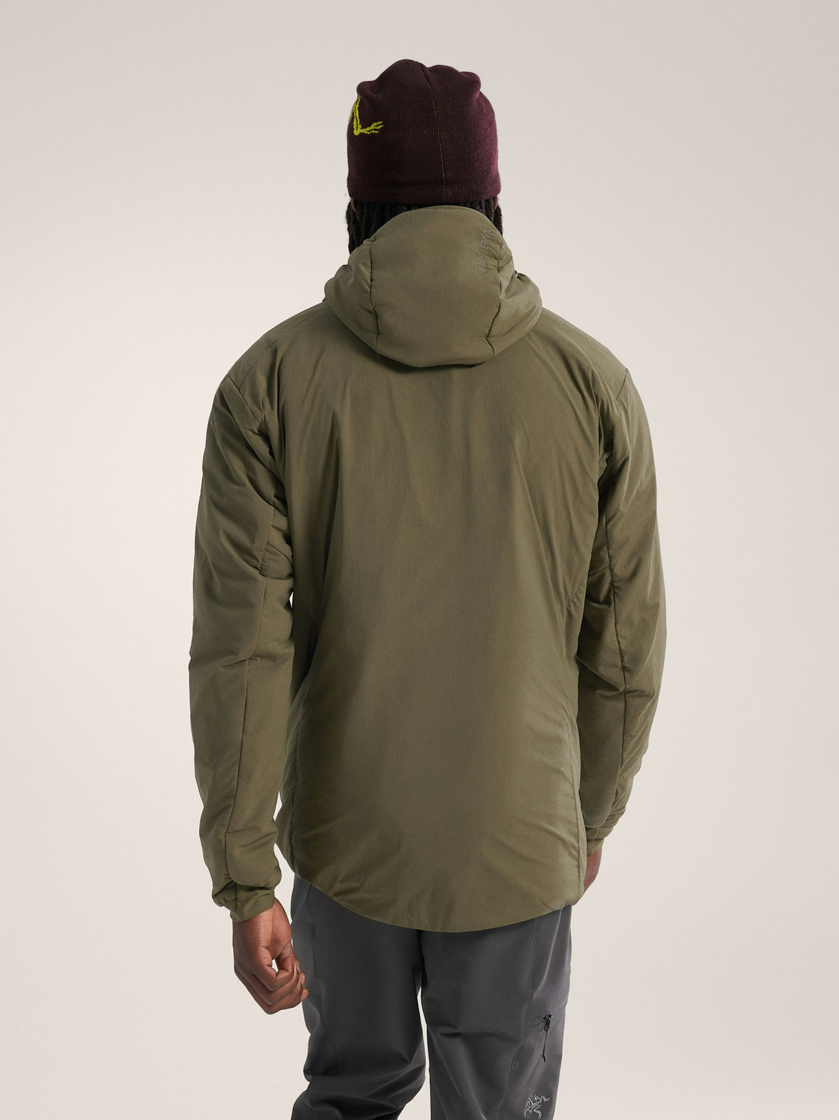 Arcteryx Proton Hoody - Mens
