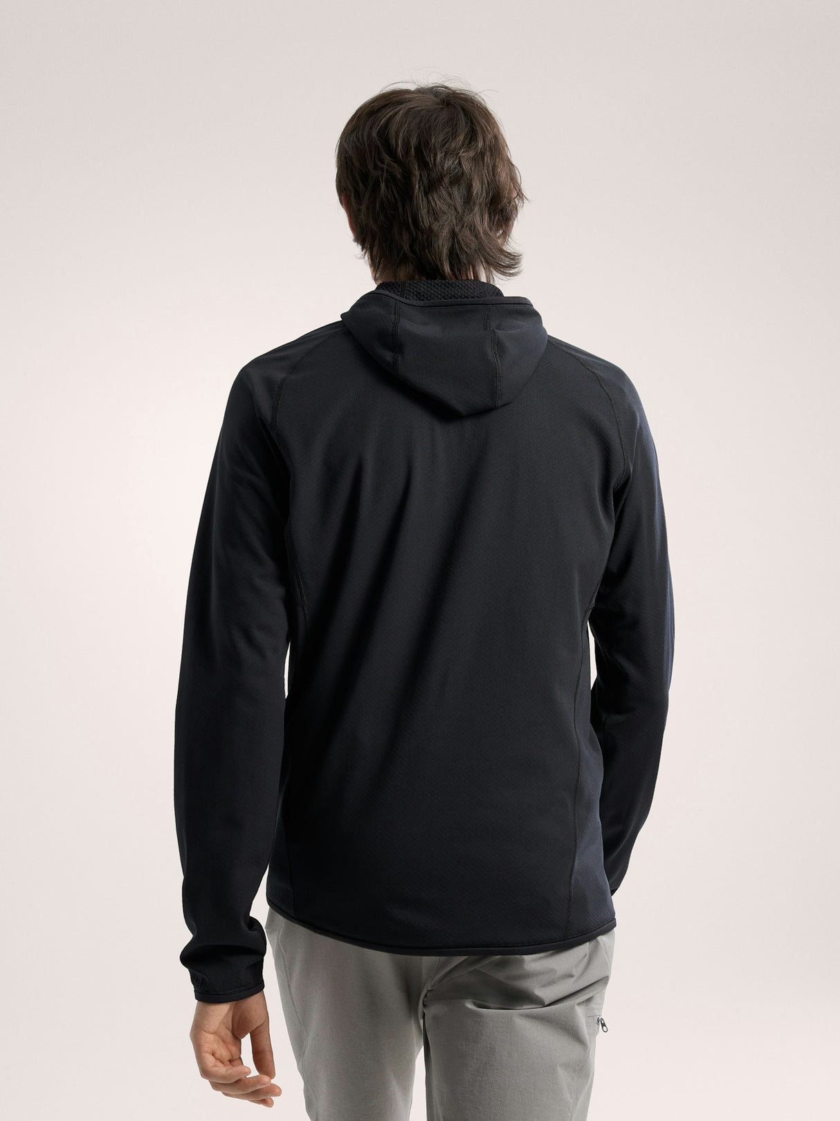 Arcteryx Delta Pullover Hoody - Mens