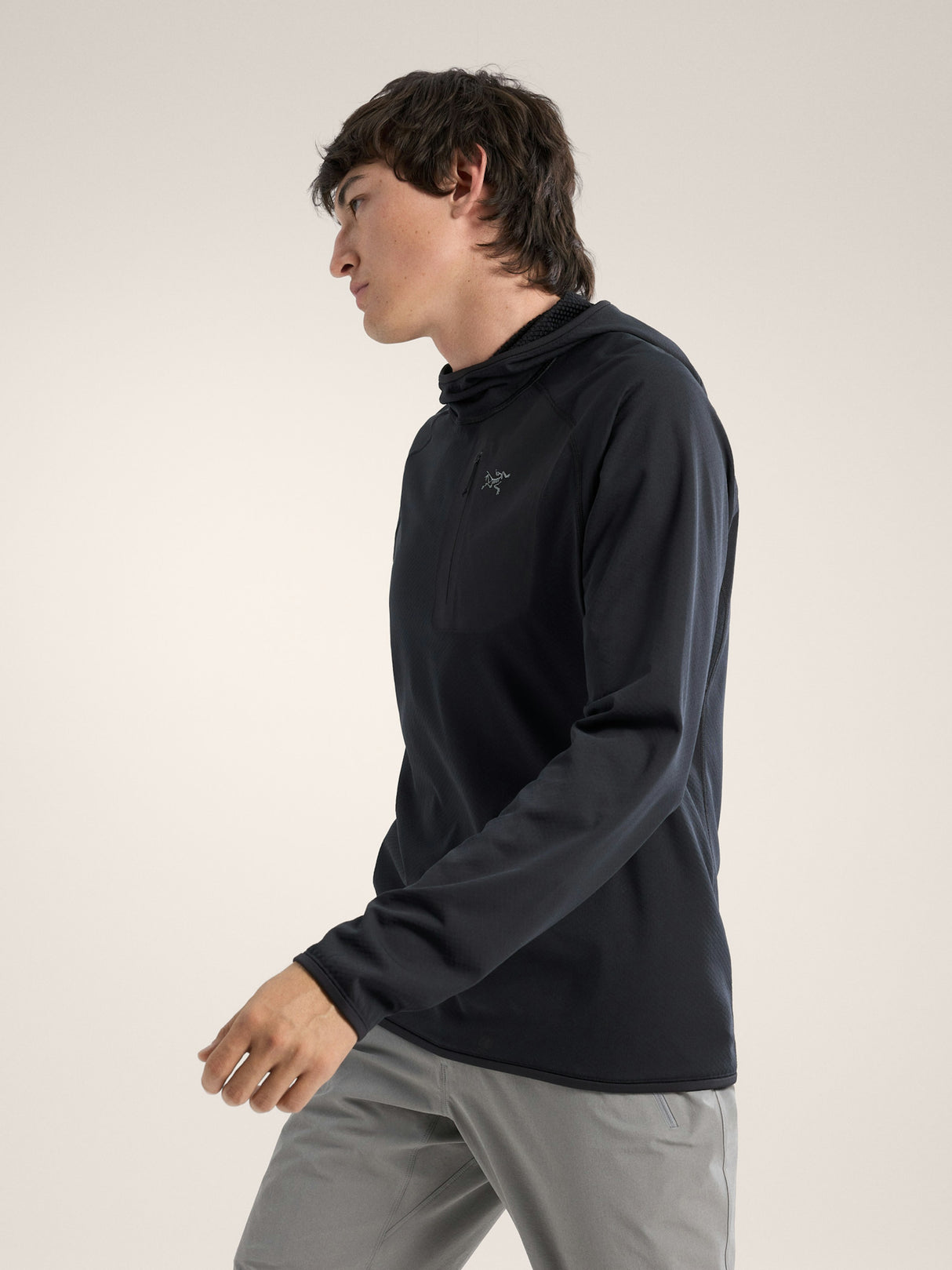 Arcteryx Delta Pullover Hoody - Mens
