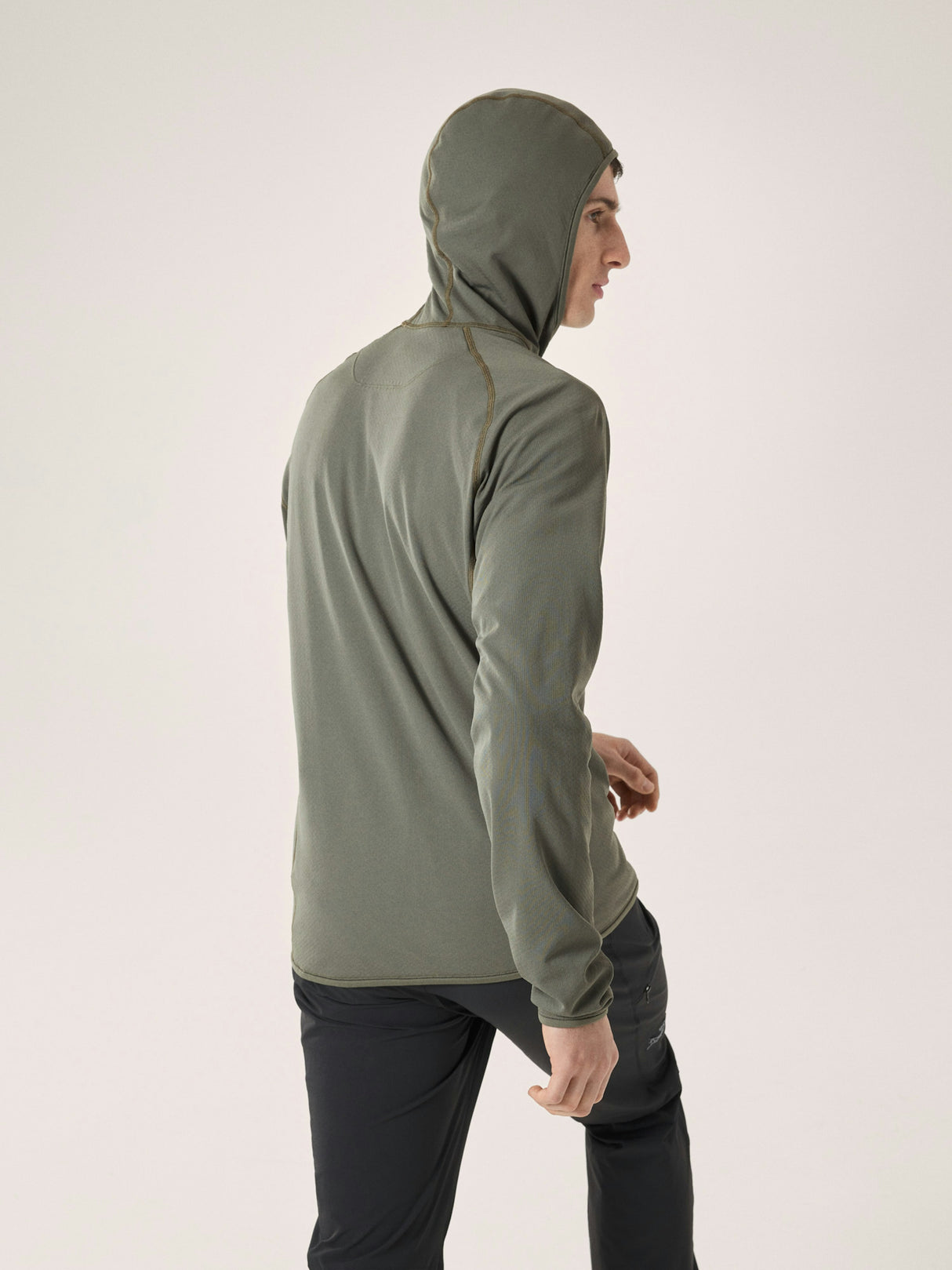 Arcteryx Delta Pullover Hoody - Mens