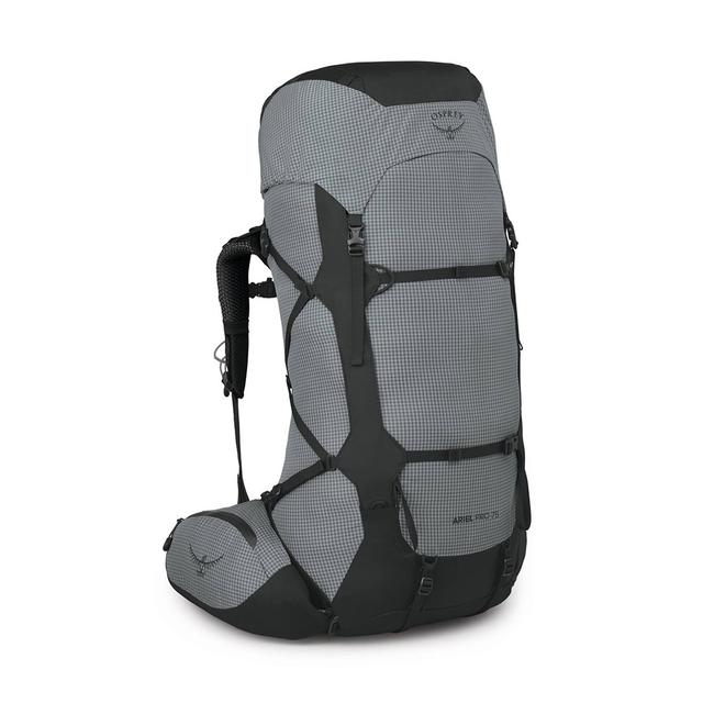 Osprey Ariel Pro 75 - Womens Silver Lining