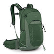 Osprey Talon 22 Green Canopy/Pine Leaf