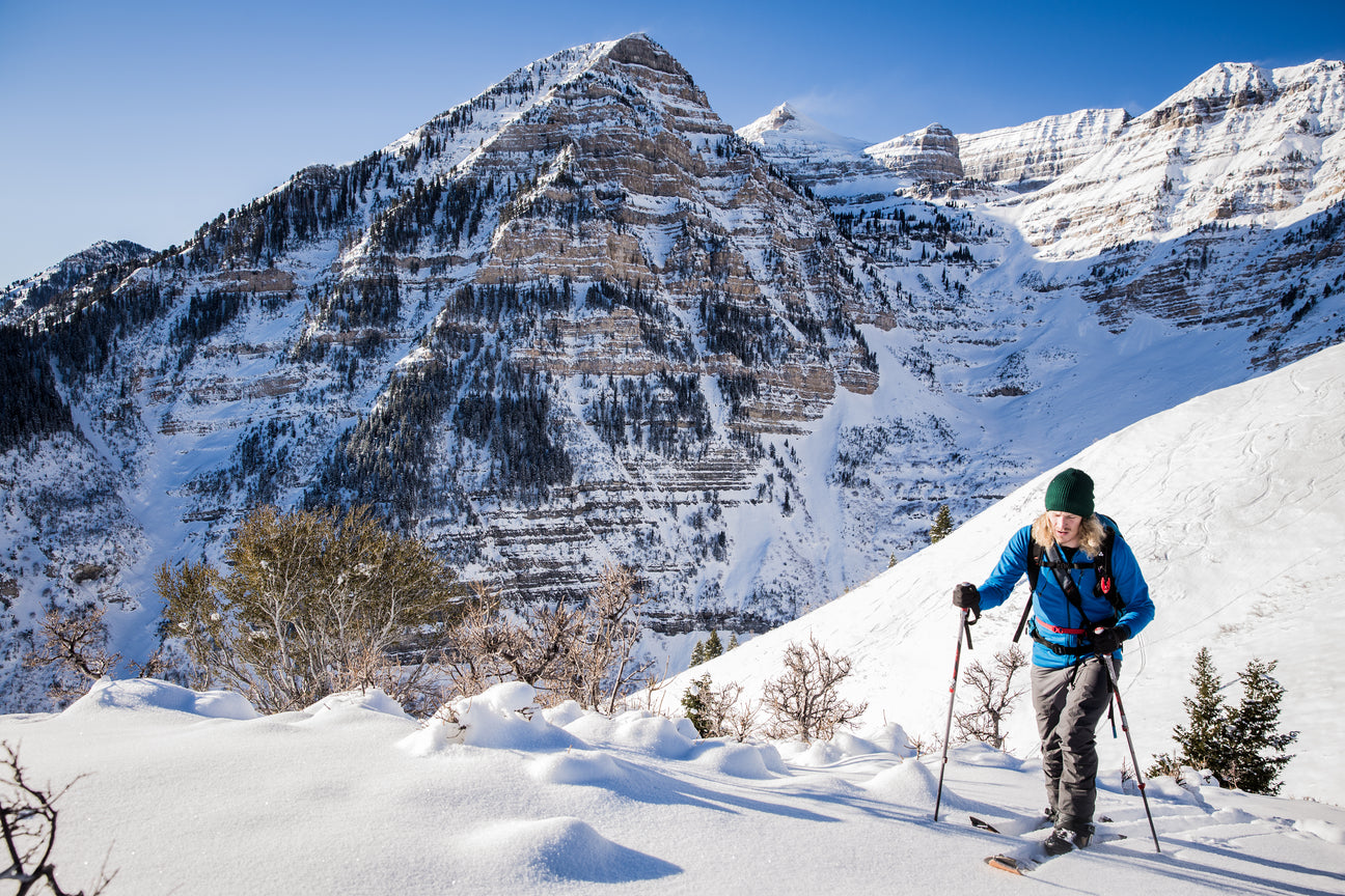 Avalanche Probes