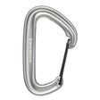 Black Diamond Litewire Carabiner Gray