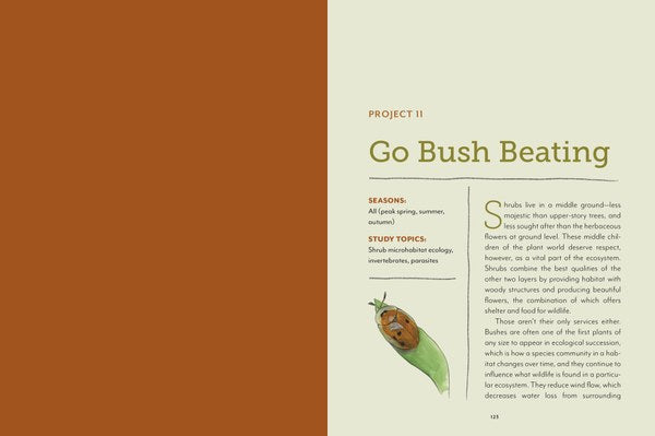 Mountaineers Books The Naturalist at Home: Projects for Discovering the Hidden World Around Us