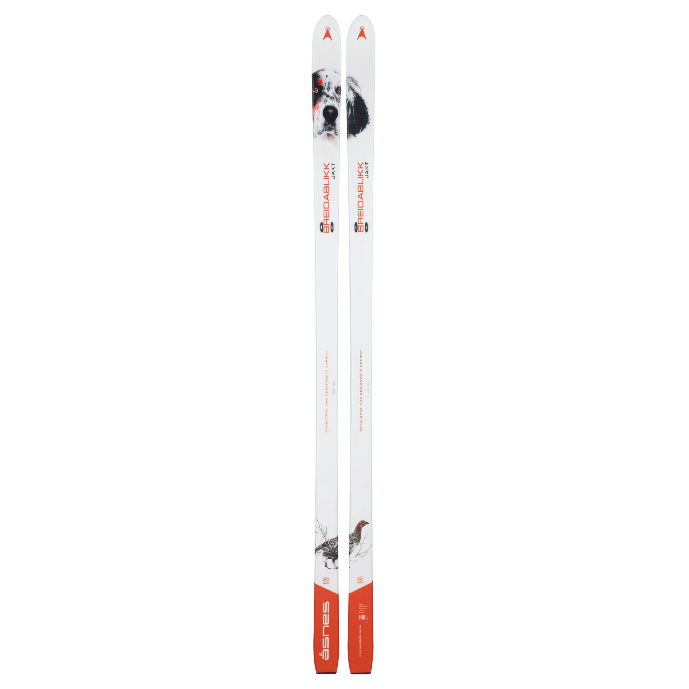 Nordic Skis – Neptune Mountaineering