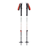 Expedition 2 Poles
