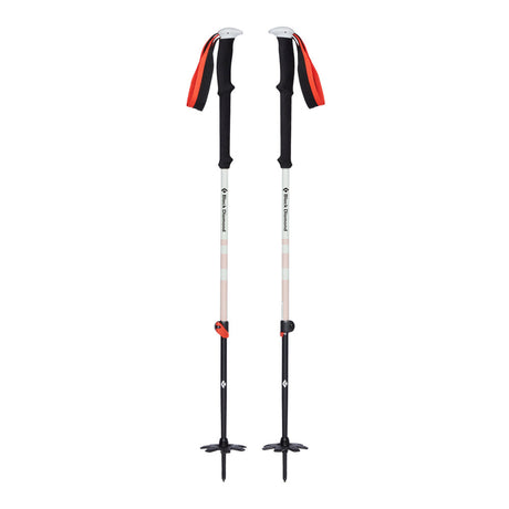 Expedition 2 Poles