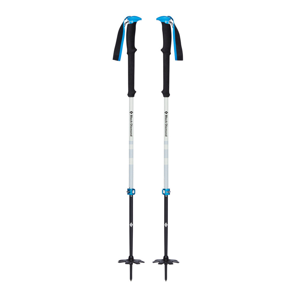 Expedition 2 Pro Ski Poles