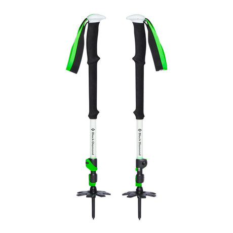 Expedition 3 Ski Poles