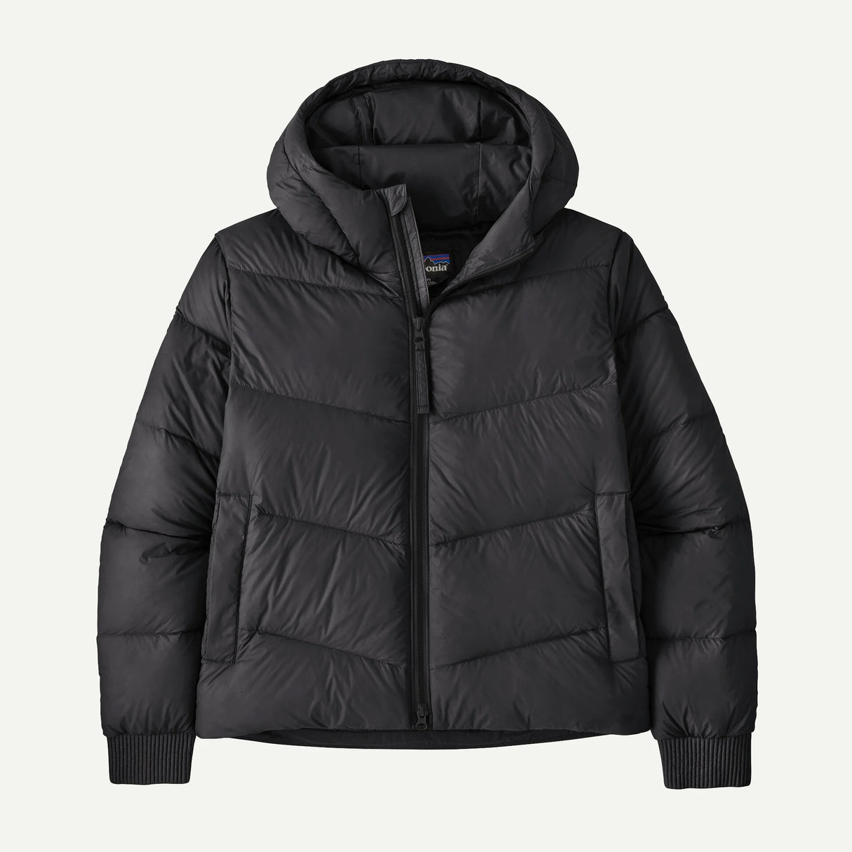 Patagonia Sindit Hoody Jacket- Womens Black