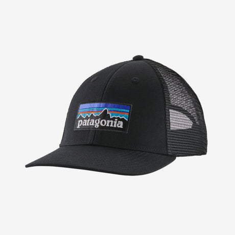 Patagonia P-6 Logo LoPro Trucker Hat Birch White