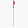 Tour Pole