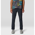 Mountain Hardwear Hardwear AP Active Pant - Mens Dark Storm / 33