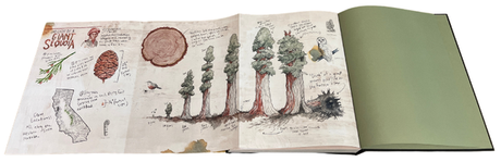 Mountaineers Books Eventually a Sequoia