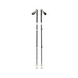 Black Diamond Expedition 3 Ski Poles