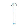 Black Diamond Traverse Ski Poles Desert Sky / 140cm