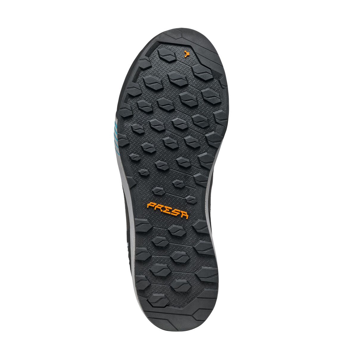 Gecko - Men's