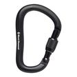 Black Diamond Rocklock Screwgate Carabiner Black