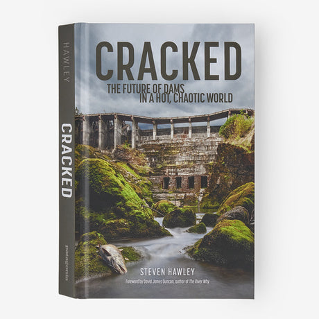 Patagonia Cracked