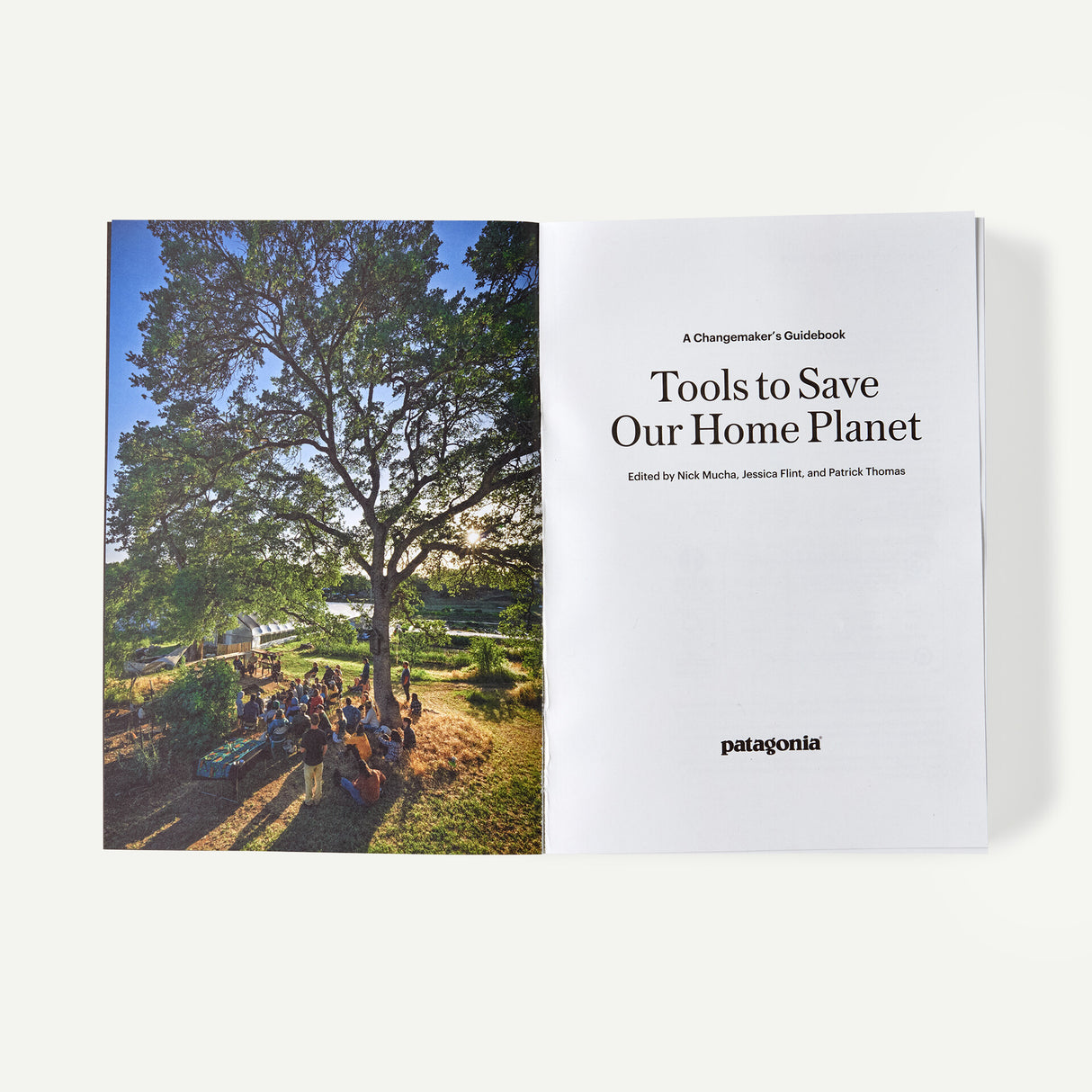 Patagonia Tools to Save Our Home Planet