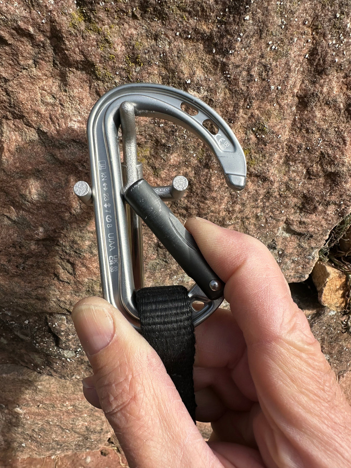 Pronghorn SL