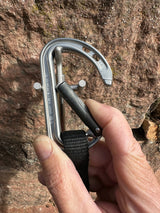 Pronghorn SL