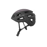 Wall Rider 2.0 Helmet