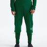 The North Face Summit Amk Ventrix Crop Pant - Mens Apex Green