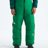 The North Face Summit Cloud Down Amk Pant - Mens Cordillera Green