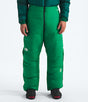 The North Face Summit Cloud Down Amk Pant - Mens Cordillera Green
