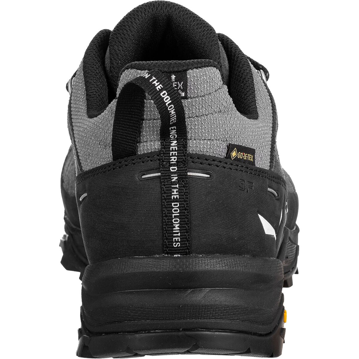 Salewa Alp Trainer 2 GTX - Mens