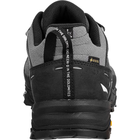 Salewa Alp Trainer 2 GTX - Mens