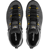 Salewa Alp Trainer 2 GTX - Mens